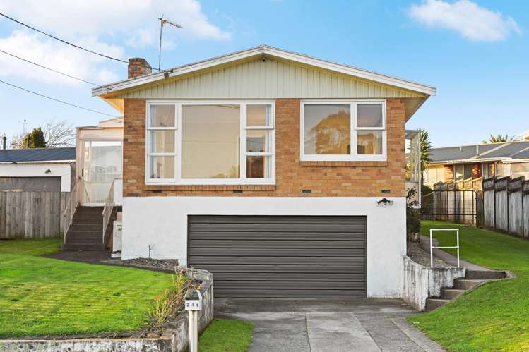 241 Ohaupo Road_0