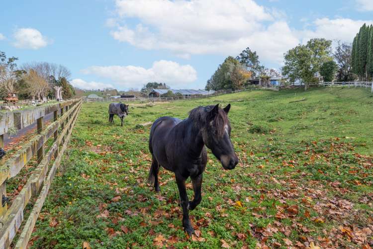 1652 State Highway 1 Putaruru_21