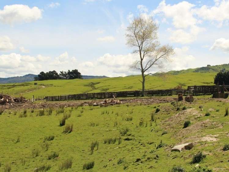 858 Oporae Road Weber_30