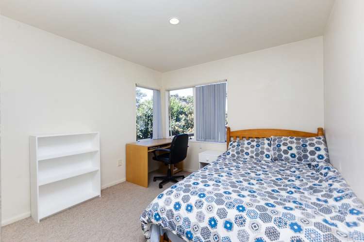 14f Cradock Street Avondale_12