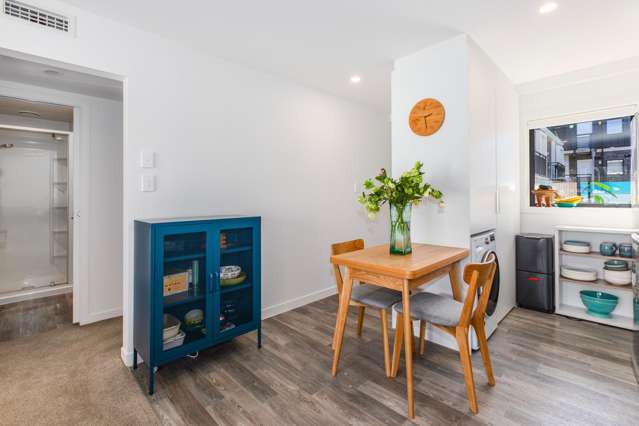 4E/11 Newtown Avenue Newtown_3