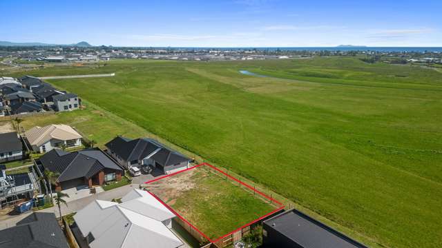 6 Trifida Close Papamoa_2