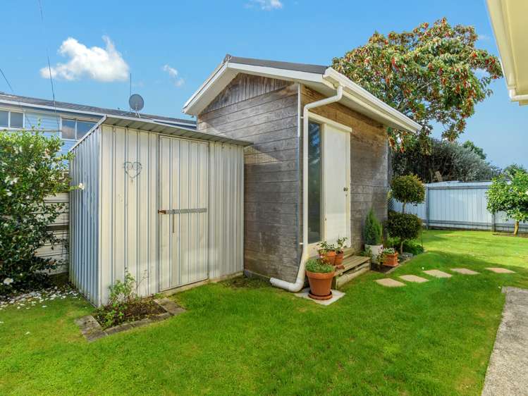 3b Regent Street Brookfield_17