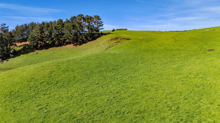 2A Ropata Street Hawera_33