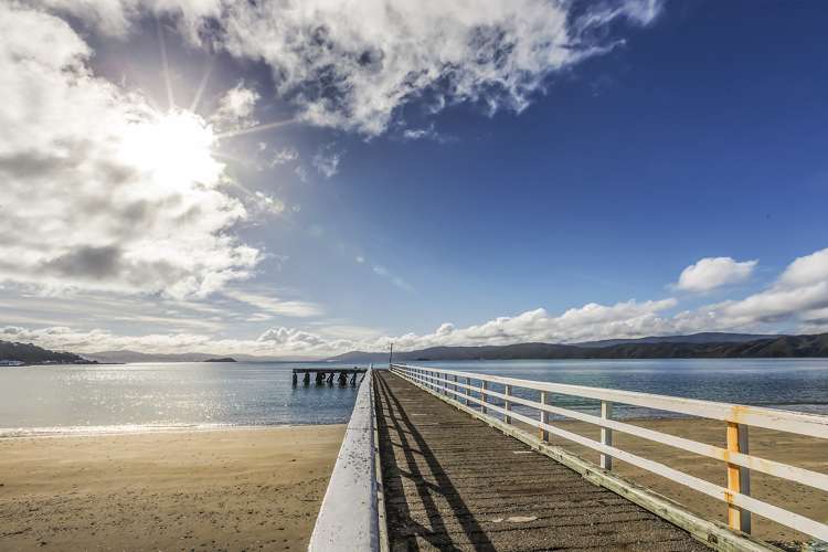 16 Mantell Street Seatoun_18