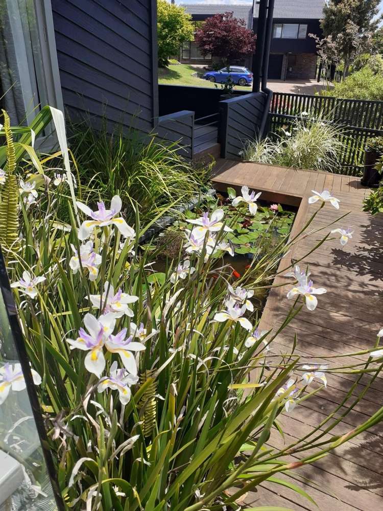 41 Melville Drive Whakatane_36