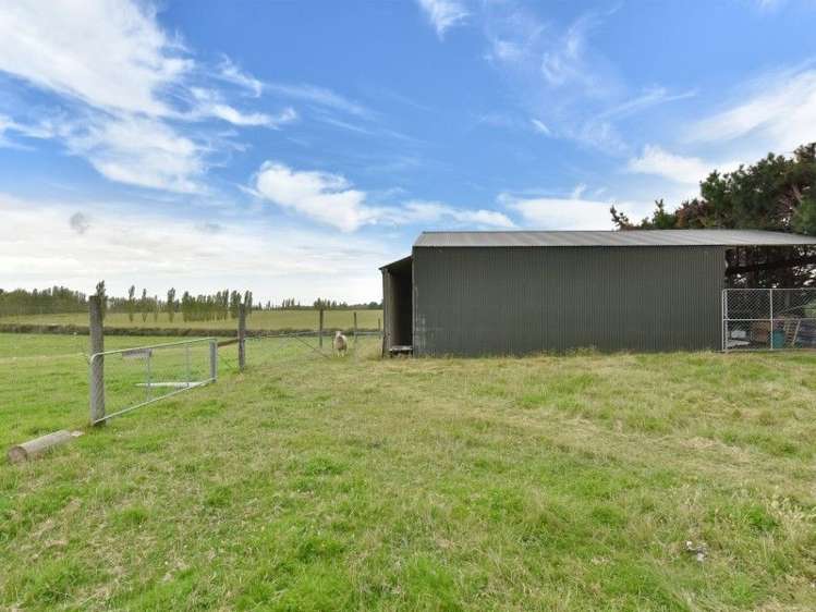 87 Forestry Road Ashley_18