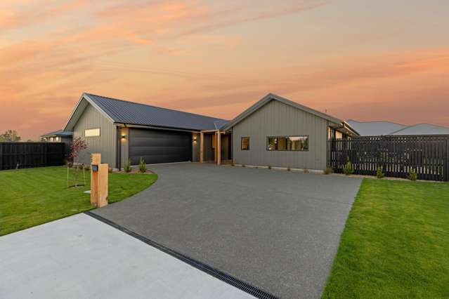 Immaculate Design - Vendors Building Elsewhere