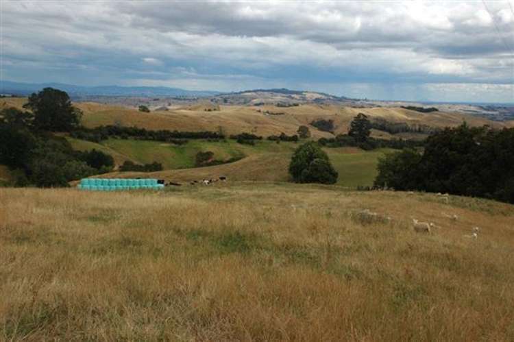 Waiti Road Tahuna_47