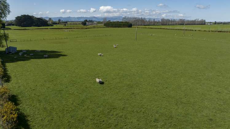 42 Chamberlains Road Springston_7