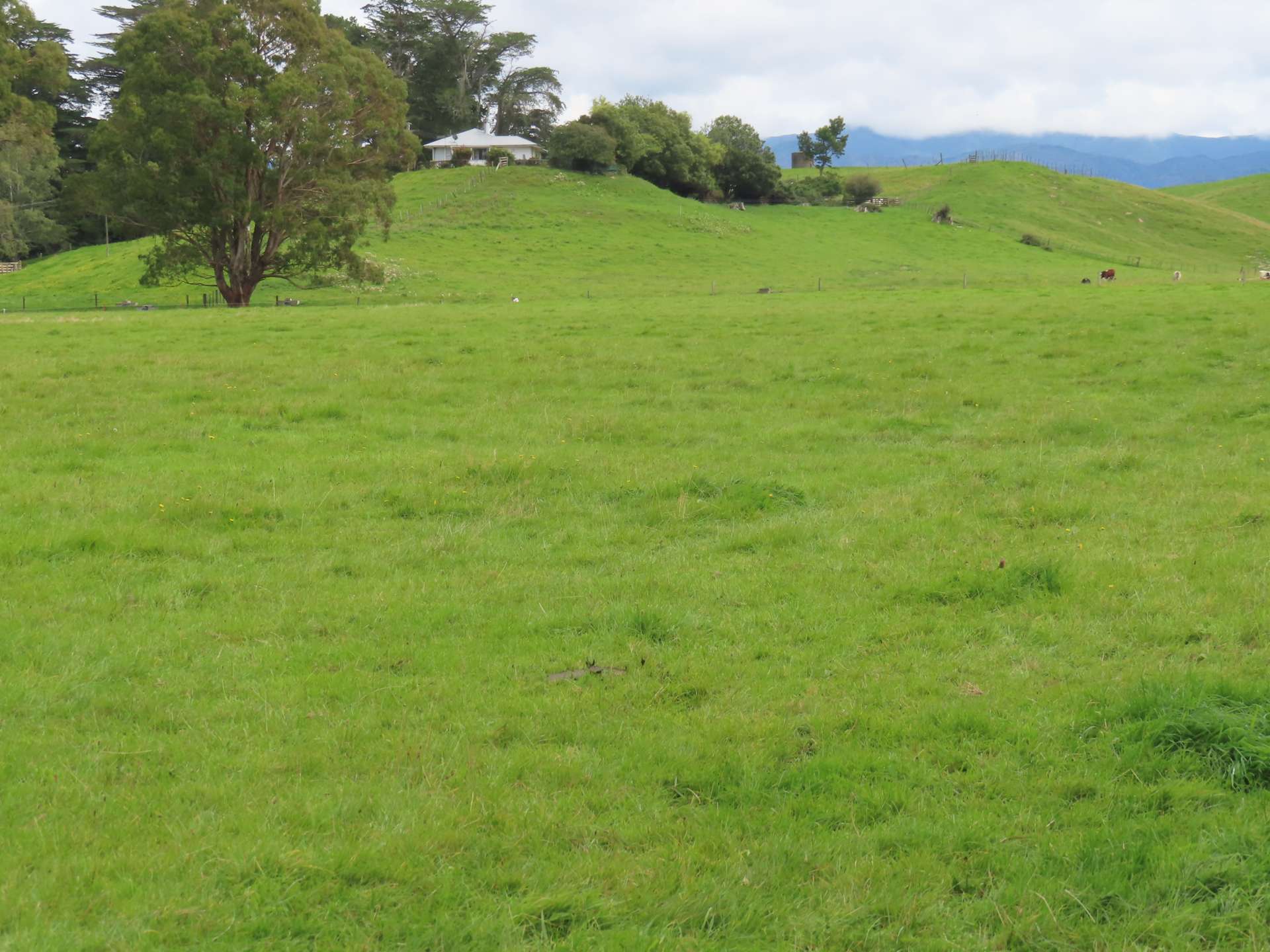 61 Church Road Dannevirke_0