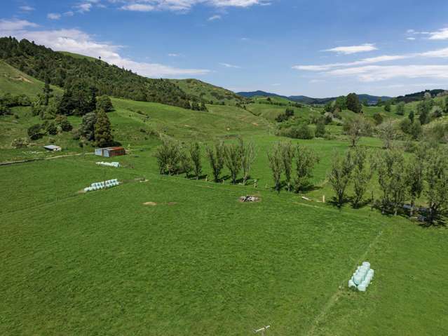 2338 State Highway 2 Opotiki_3