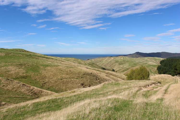 750 Otahome Road Otahome_14