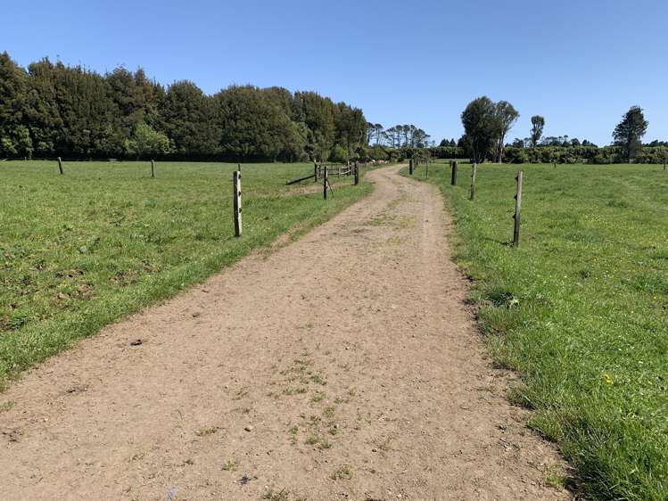 2442 Mountain Road Tariki_25