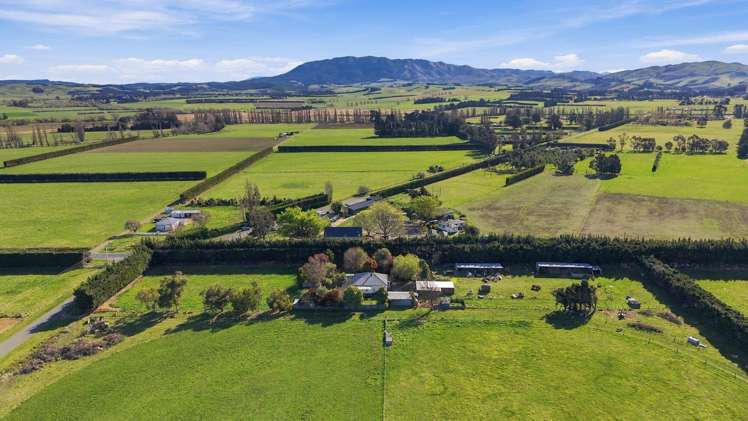 120 Mt Brown Road Amberley_31
