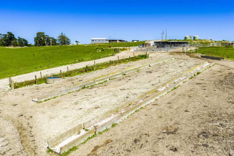 29 Keer Road Arapohue_17