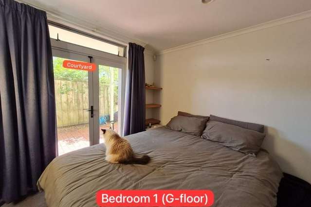 305 Evans Bay Parade Hataitai_2