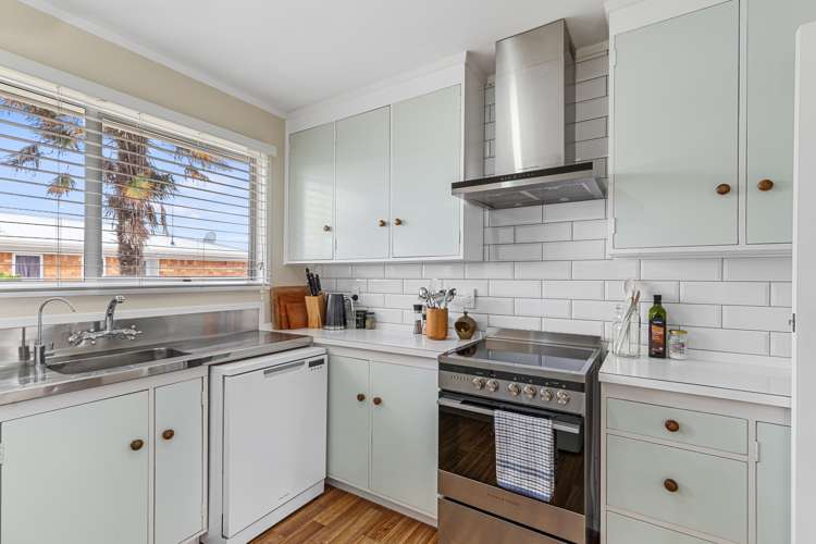 31 Poaka Avenue Dinsdale_5