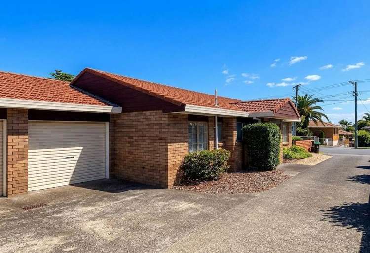 51 New Windsor Road Avondale_5