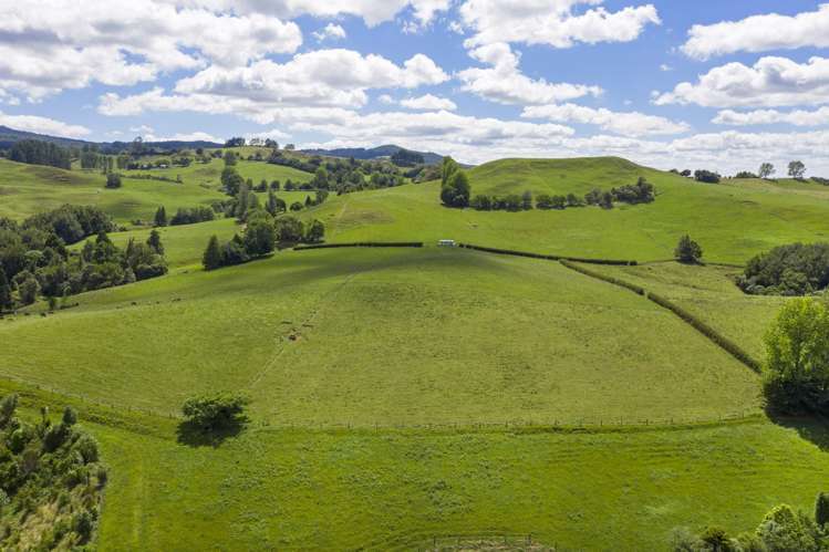 Te Tahi Road Puketotara_16