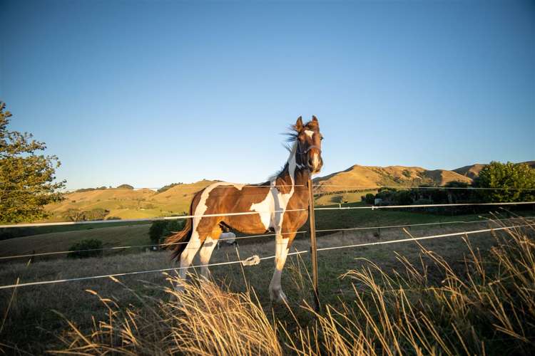 354 Bridge Valley Road Wakefield_31