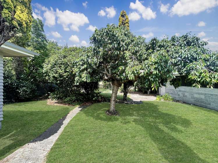 1456 Napier Road 10920_12