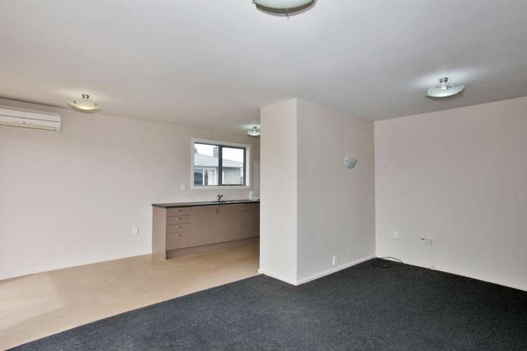 28 Bermuda Drive Hornby_3