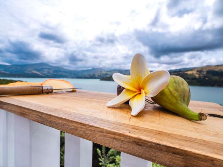 6506 Christchurch Akaroa Road Robinsons Bay_50