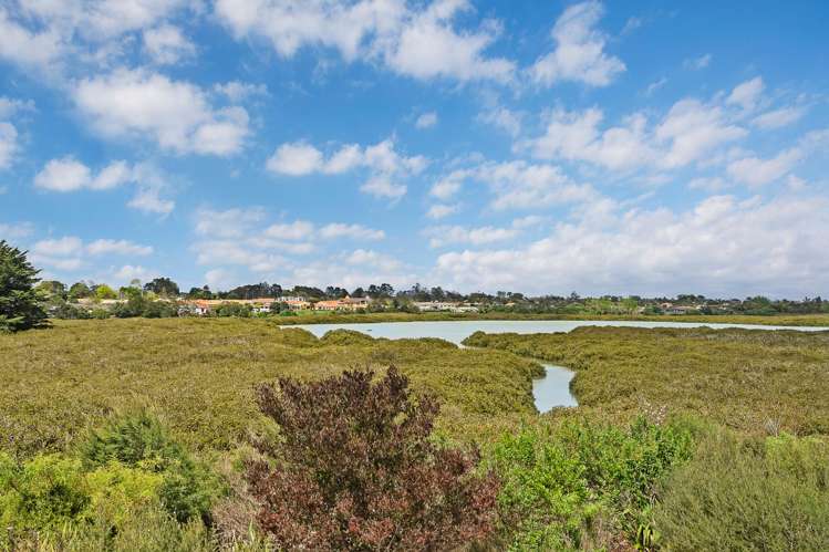 66 Matawhanga Drive Wattle Downs_13