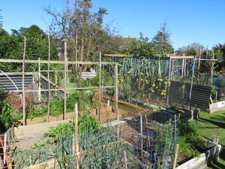 14 Barclay Avenue Te Aroha_21