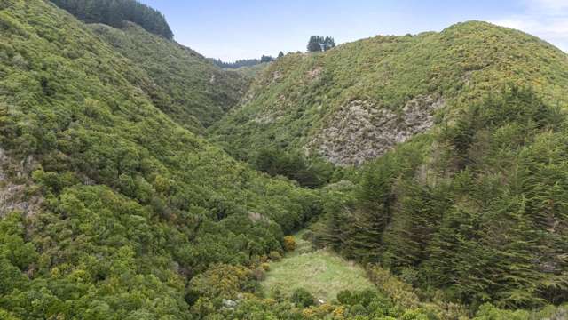 106 Harrison Hill Road Aokautere_3