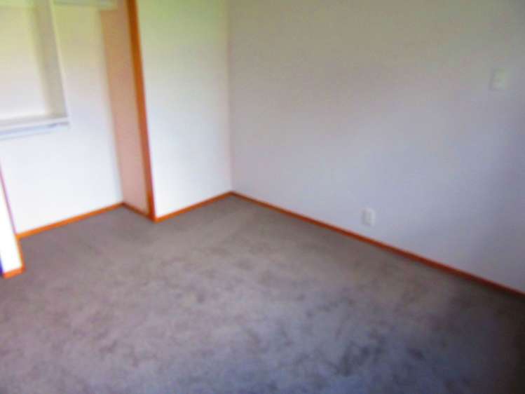 357 Pine Valley Road Dairy Flat_13