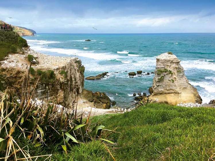 3 Podgora Avenue Kumeu_12