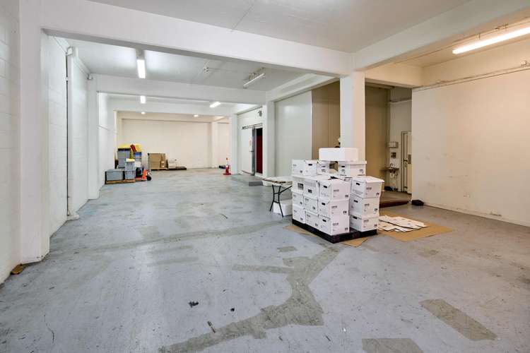 45 Hania Street Mt Victoria_7