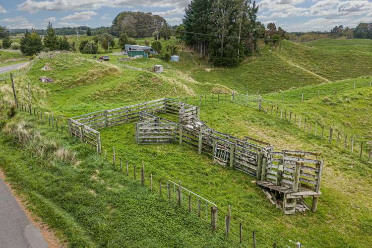 81 Kaiwaka Road Tangoio_13