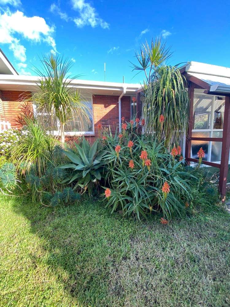 Andrew Place Otumoetai_12