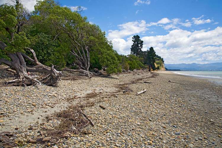 6 Cliff Road Tasman_22