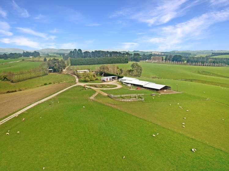 20 Carruthers Road Pomahaka_19