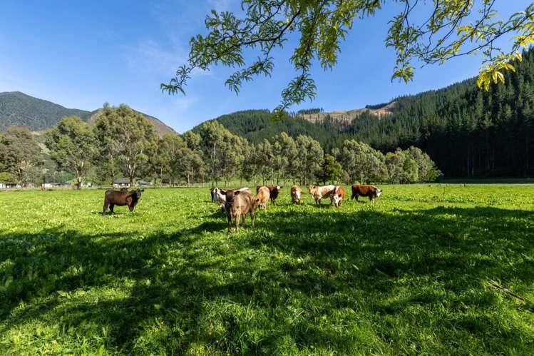 208 Mount Riley Road Okaramio_9