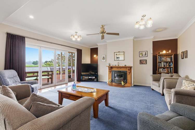 81D Horrell Road Morrinsville_6