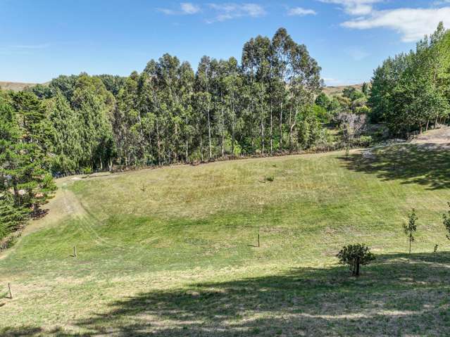 Lot 1 //139 Ballantyne Road Poraiti_1