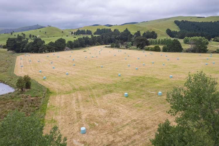 83 Towai Road Dannevirke_27