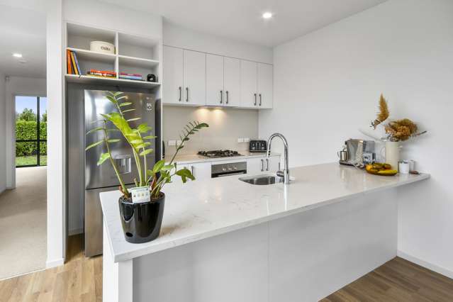 12 Troop Road Papakura_3