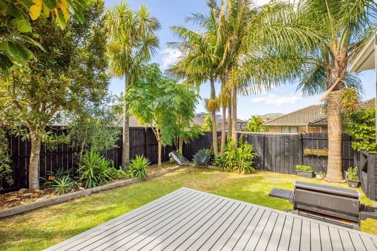 15 Alberta Street Point Chevalier_7