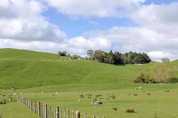 30 Mangahei Road Dannevirke_25
