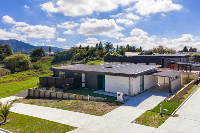 Mid-Century Style Meets Modern Living