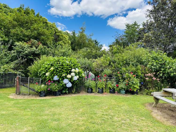 10 Richmal Street Waihi_9