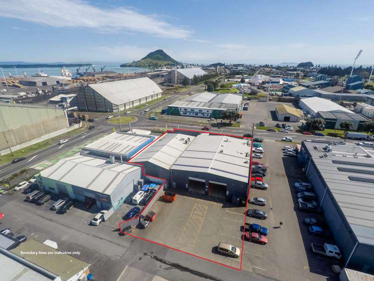 105 Hull Road Mt Maunganui_12