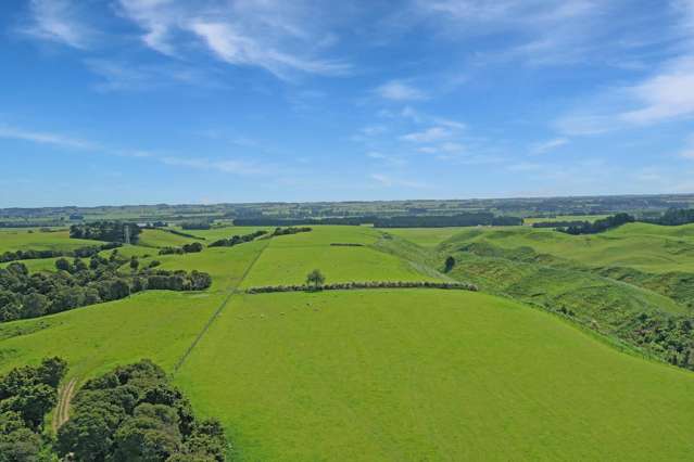 863b Mount Biggs Halcombe Road Halcombe_3