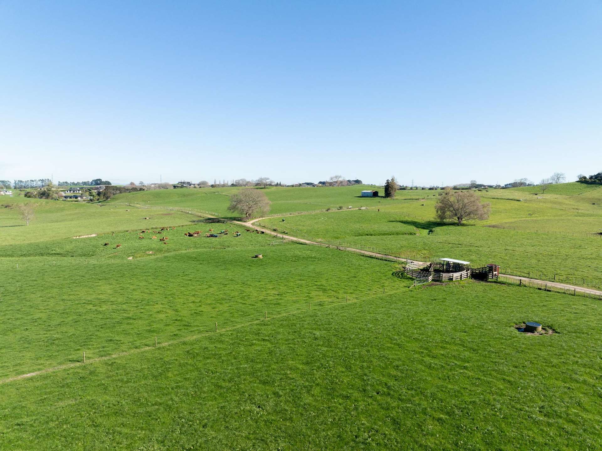 Morrinsville-Tahuna Road Morrinsville_0